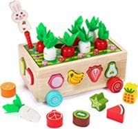 Sorting & Stacking Toys