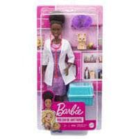 Dark Skin Tone Barbie Doll with Accessories