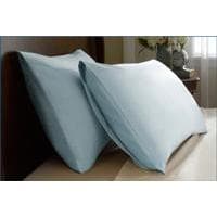 Bed Pillows (2 Standard with Cases)