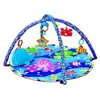 Infant Floor Activity Mat/Gym